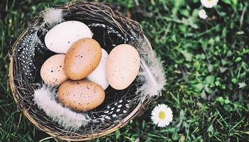Így hat a tojás a szervezetünkre